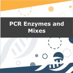 PCR Enzymes and Mixes
