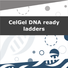 CelGel DNA ready ladders