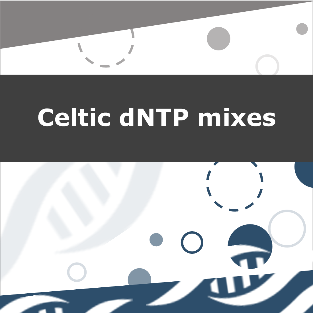 Celtic dNTP mix